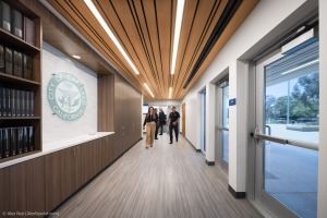 AlexNye_250708_Sillman_0654-Edit-1