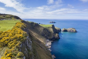 ALEX_NYE_Ireland-019_Landscape_Northern_Carrickk-a-rede