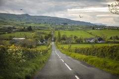 ALEX_NYE_Ireland-021_Landscape_Northern_Hills_Hedges