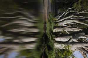 ALEX_NYE_Ireland-024_Landscape_Northern_Dark_Hedges