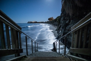 ALEX_NYE_190413-1S1A8030