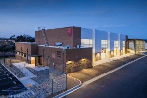 AlexNye_260207_Harper_P254_1009