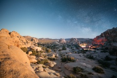 ALEX_NYE_220529_JTree_TL6_0001-4D
