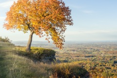 ALEX_NYE_231019_0920