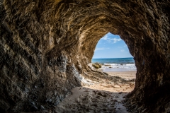 Cave Dweller