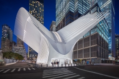 04-ALEX_NYE_NYC_New_York_WTC_Oculus_Calatrava_1