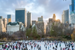21-ALEX_NYE_NYC_New_York_City_Central_Park_Ice-skating-rink-winter