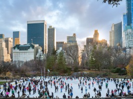 21-ALEX_NYE_NYC_New_York_City_Central_Park_Ice-skating-rink-winter