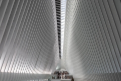 26-ALEX_NYE_NYC_New_York_WTC_Oculus_Calatrava_2