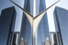 28-ALEX_NYE_NYC_New_York_WTC_Oculus_Calatrava_One_World_Trade