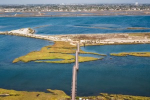 ALEX_NYE_OC_Orange_County_Beach_019-dana-point-laguna-irvine-newport-aerial-drone