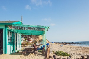 ALEX_NYE_OC_Orange_County_Beach_022-dana-point-laguna-irvine-newport-aerial-drone