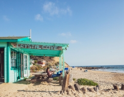ALEX_NYE_OC_Orange_County_Beach_022-dana-point-laguna-irvine-newport-aerial-drone