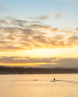 ALEX_NYE_OC_Orange_County_Beach_026-dana-point-laguna-irvine-newport-aerial-drone