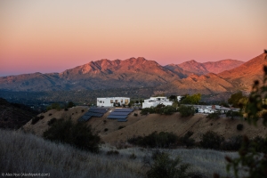 ALEX_NYE_211111_OVS_MG_3391-Edit-2