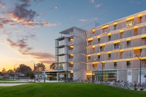 A.NYE_San-Joaquin_002