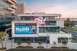 AlexNye_240906_RaDD_4370-Edit