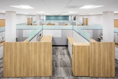 ALEX_NYE_200724_SWA_CAC_0758