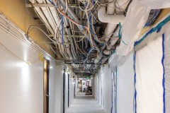 AlexNye_260121_Sillman_CAC_Scout_337-2