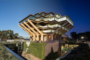 ALEX_NYE_181215-1S1A7505-Edit-2