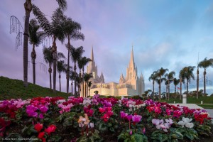 ALEX_NYE_191114-1S1A3021-Edit