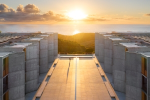 ALEX_NYE_200323-DJI_0370-Edit-7