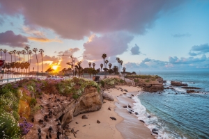 ALEX_NYE_200326-_MG_3714-Edit-3