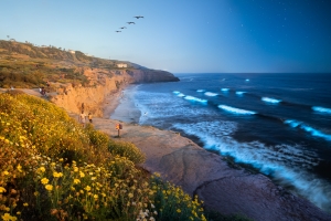 ALEX_NYE_200505-1S1A8064-Edit-3