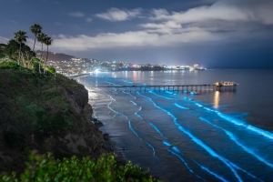 ALEX_NYE_200514-1S1A0037-Edit