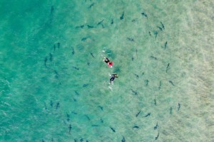 ALEX_NYE_211107_0117-Edit-4