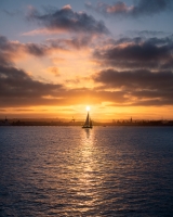 ALEX_NYE_190909-1S1A8999