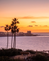 ALEX_NYE_191211-_MG_2399