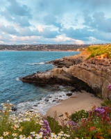 ALEX_NYE_200326-_MG_3702