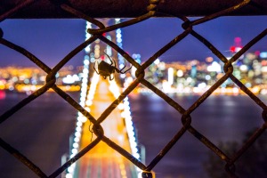 ALEX_NYE_SF_San_Francisco_Golden_Gate_Bay_Bridge_007