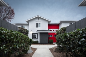 ALEX_NYE_SWA_Pulitzer_Proof_116-Edit